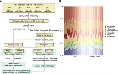 More Positive or More Negative? Metagenomic Analysis Reveals Roles of Virome in Human Disease-Related Gut Microbiome